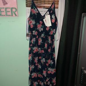 NWT beautiful max dress! Never worn!